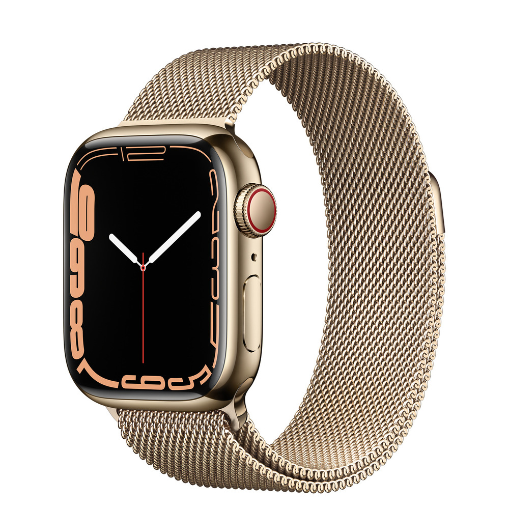 Apple Watch Series 7 GPS Cellular Stainless Steel Case